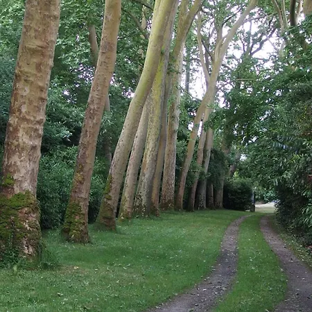 Feriehus Chateau Dans Le Calme De L'anjou