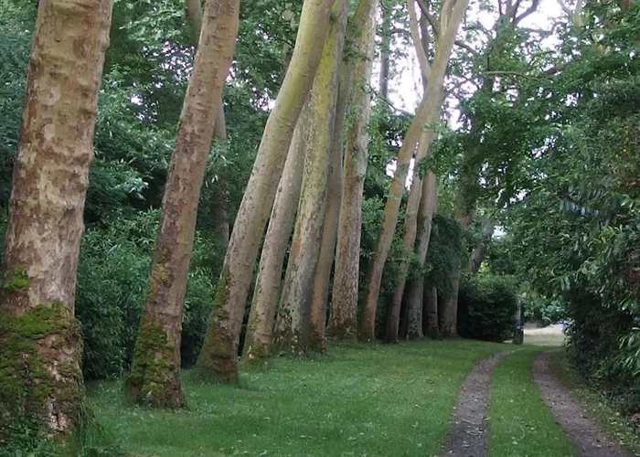 בית נופש Chateau Dans Le Calme De L'anjou